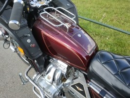 Honda Goldwing (13)